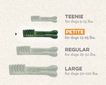 Gâteries Dentaires pour Chien, Original Petite, Greenies