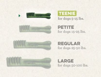 Gâteries Dentaires pour Chien, Original Teenie, Greenies